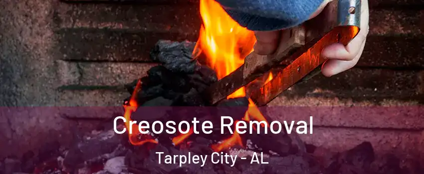 Creosote Removal Tarpley City - AL