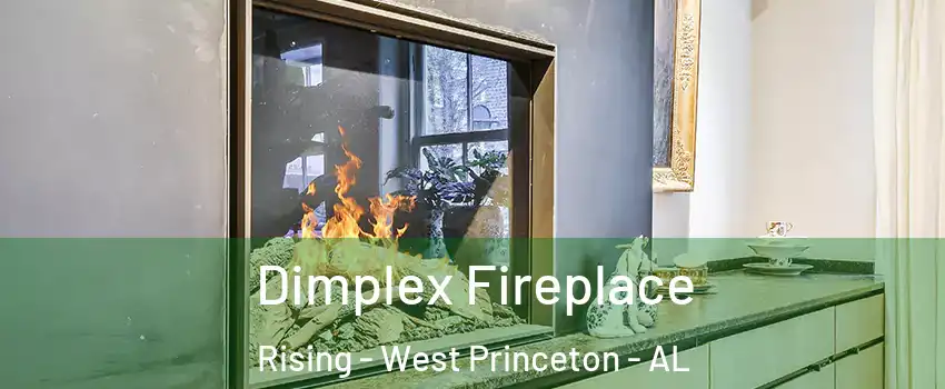 Dimplex Fireplace Rising - West Princeton - AL