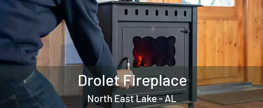 Drolet Fireplace North East Lake - AL