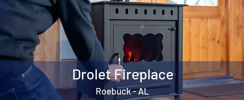 Drolet Fireplace Roebuck - AL