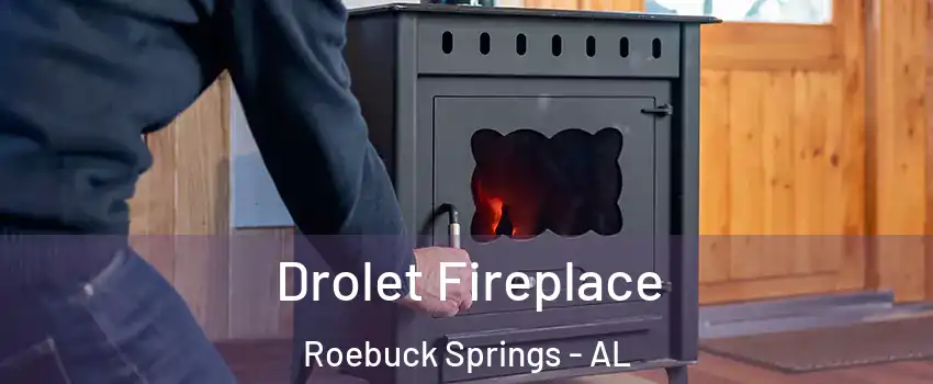 Drolet Fireplace Roebuck Springs - AL