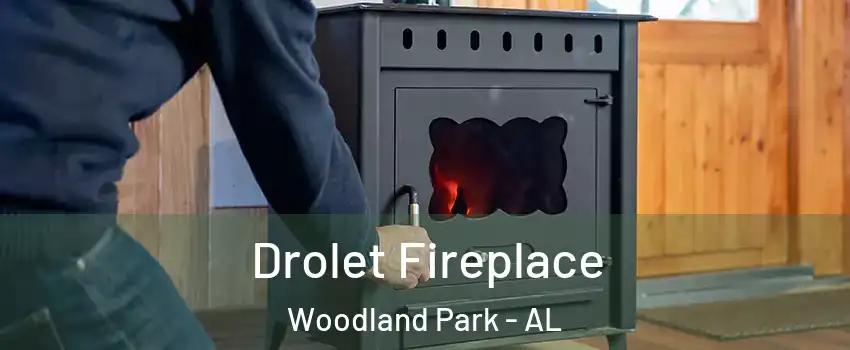 Drolet Fireplace Woodland Park - AL