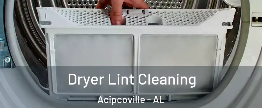 Dryer Lint Cleaning Acipcoville - AL
