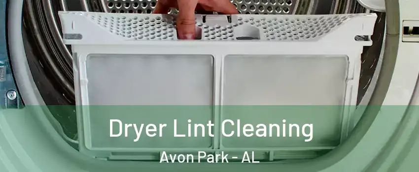 Dryer Lint Cleaning Avon Park - AL