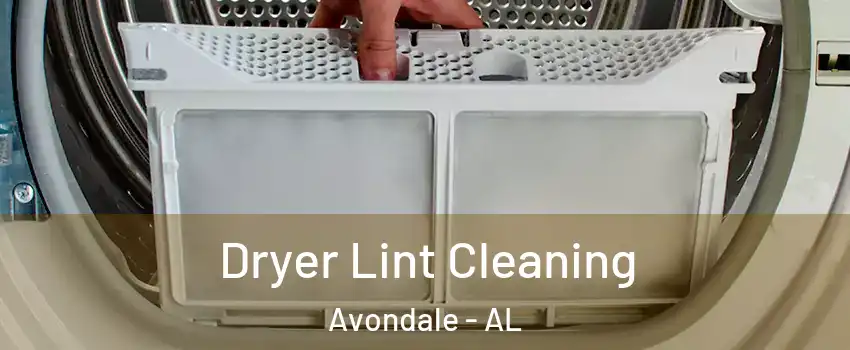 Dryer Lint Cleaning Avondale - AL