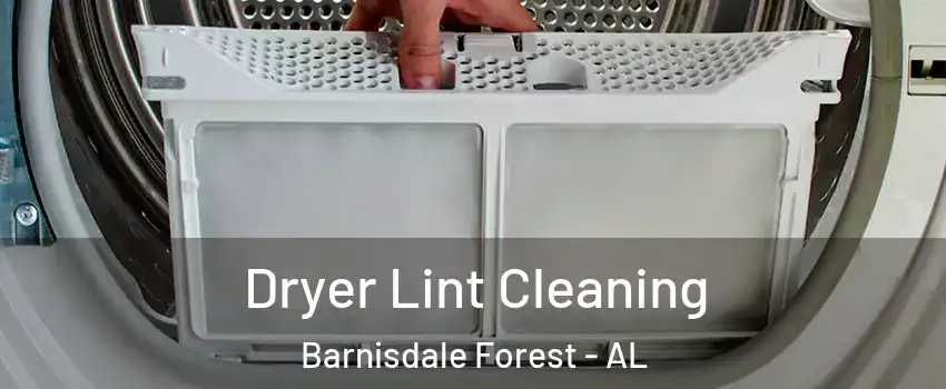 Dryer Lint Cleaning Barnisdale Forest - AL