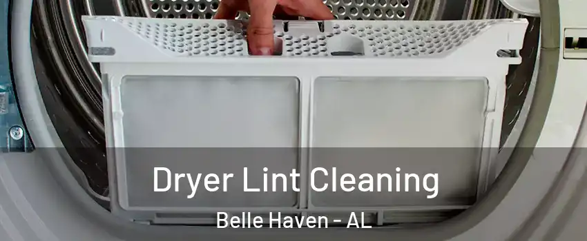 Dryer Lint Cleaning Belle Haven - AL