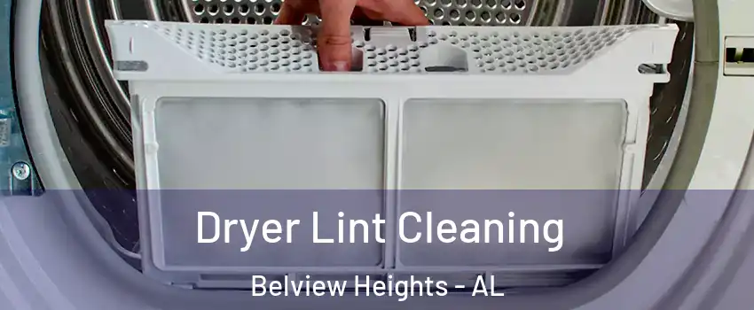 Dryer Lint Cleaning Belview Heights - AL
