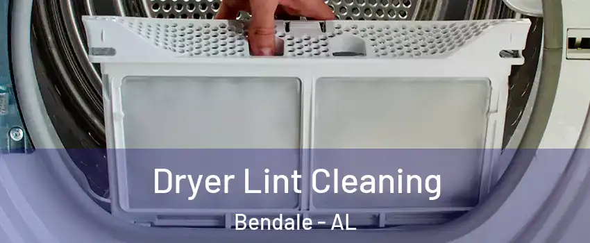 Dryer Lint Cleaning Bendale - AL