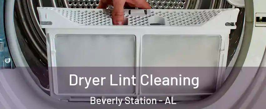 Dryer Lint Cleaning Beverly Station - AL