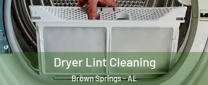 Dryer Lint Cleaning Brown Springs - AL