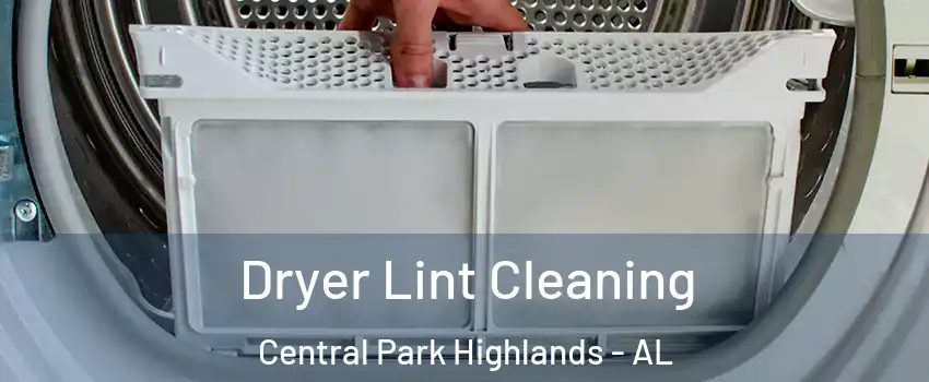 Dryer Lint Cleaning Central Park Highlands - AL