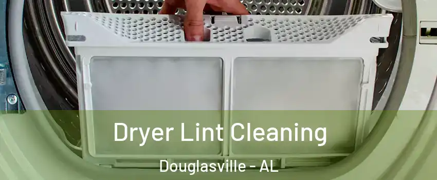 Dryer Lint Cleaning Douglasville - AL
