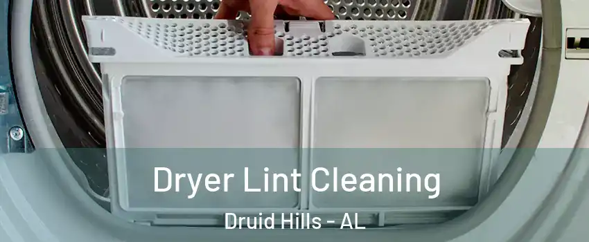 Dryer Lint Cleaning Druid Hills - AL