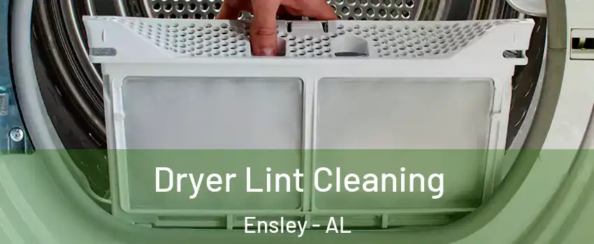 Dryer Lint Cleaning Ensley - AL