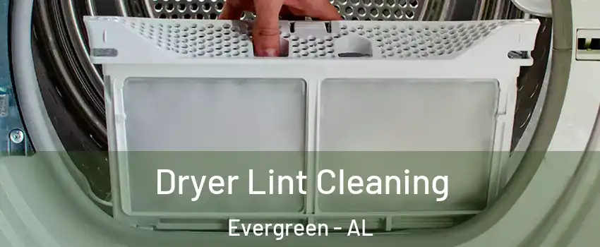 Dryer Lint Cleaning Evergreen - AL