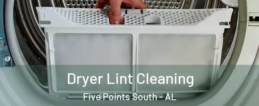Dryer Lint Cleaning Five Points South - AL