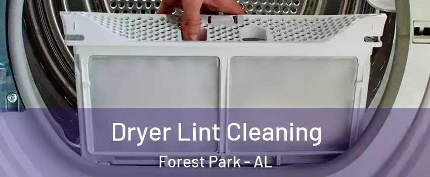 Dryer Lint Cleaning Forest Park - AL