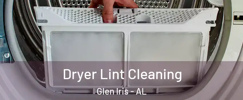 Dryer Lint Cleaning Glen Iris - AL