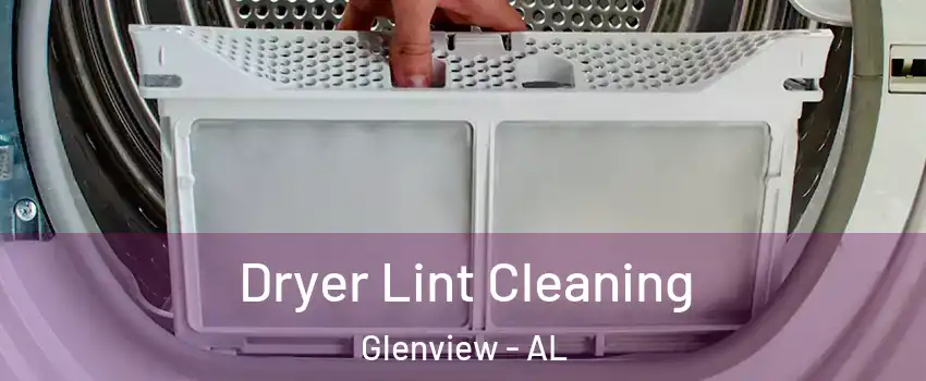 Dryer Lint Cleaning Glenview - AL