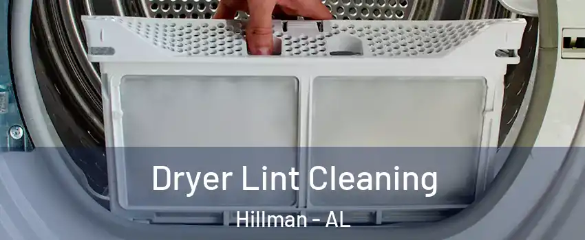 Dryer Lint Cleaning Hillman - AL