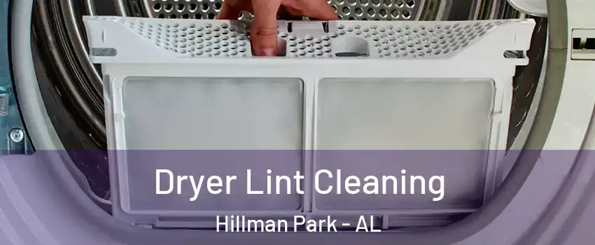Dryer Lint Cleaning Hillman Park - AL