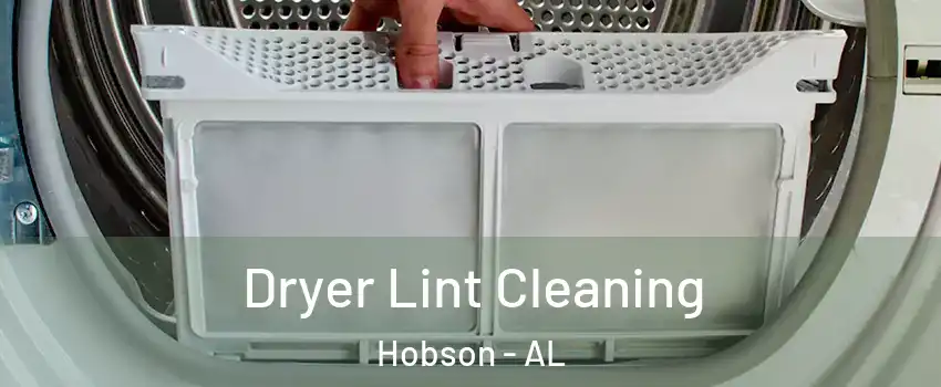 Dryer Lint Cleaning Hobson - AL
