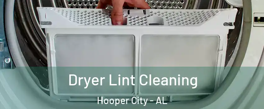 Dryer Lint Cleaning Hooper City - AL