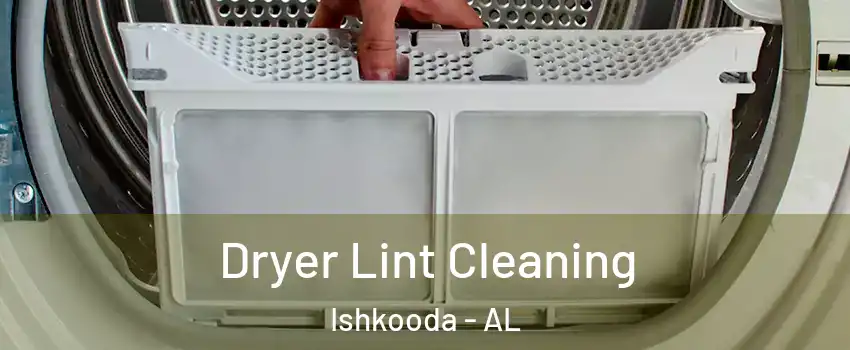 Dryer Lint Cleaning Ishkooda - AL