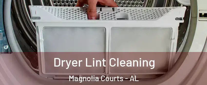 Dryer Lint Cleaning Magnolia Courts - AL