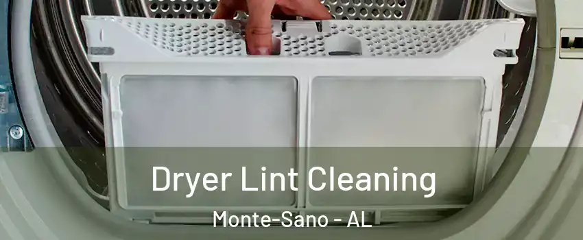 Dryer Lint Cleaning Monte-Sano - AL