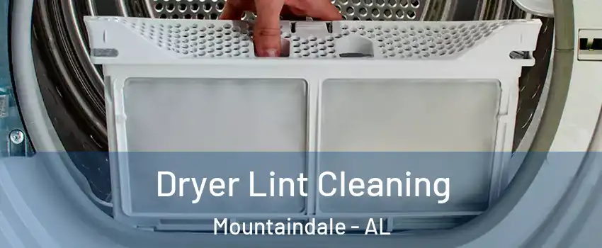 Dryer Lint Cleaning Mountaindale - AL