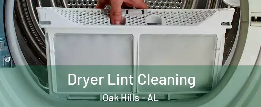 Dryer Lint Cleaning Oak Hills - AL