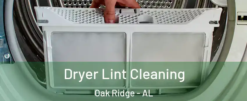 Dryer Lint Cleaning Oak Ridge - AL