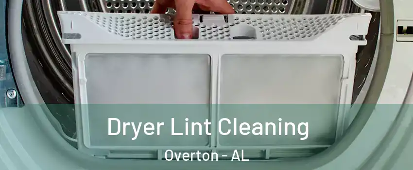 Dryer Lint Cleaning Overton - AL