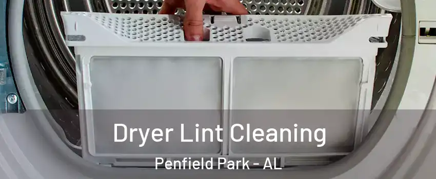 Dryer Lint Cleaning Penfield Park - AL