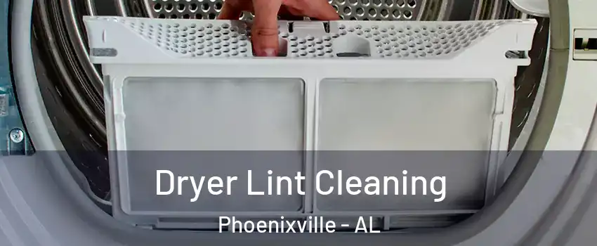 Dryer Lint Cleaning Phoenixville - AL