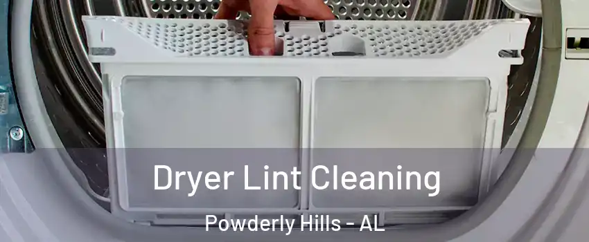Dryer Lint Cleaning Powderly Hills - AL