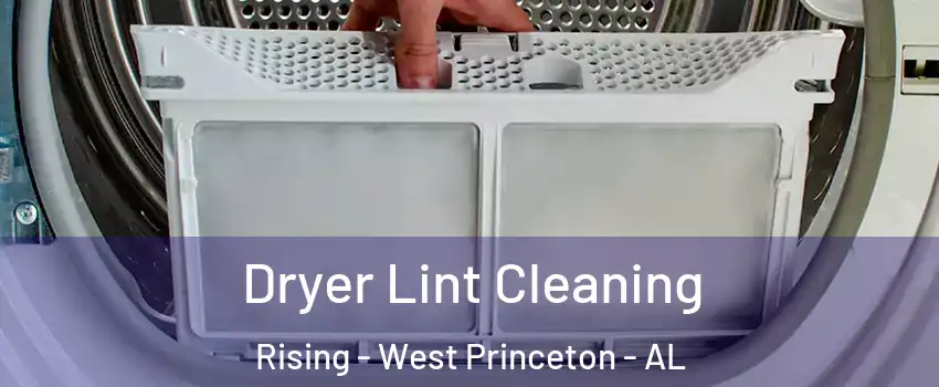 Dryer Lint Cleaning Rising - West Princeton - AL