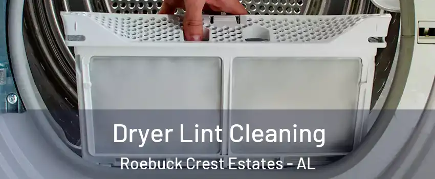 Dryer Lint Cleaning Roebuck Crest Estates - AL