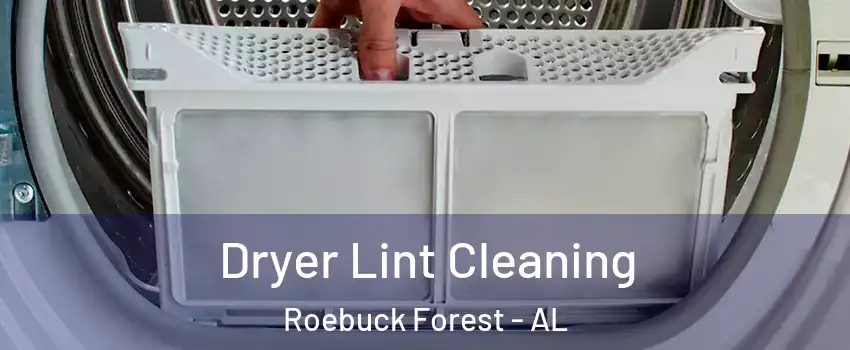 Dryer Lint Cleaning Roebuck Forest - AL
