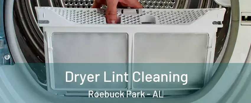 Dryer Lint Cleaning Roebuck Park - AL