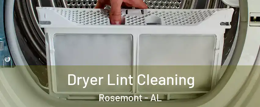 Dryer Lint Cleaning Rosemont - AL