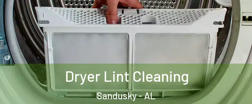 Dryer Lint Cleaning Sandusky - AL