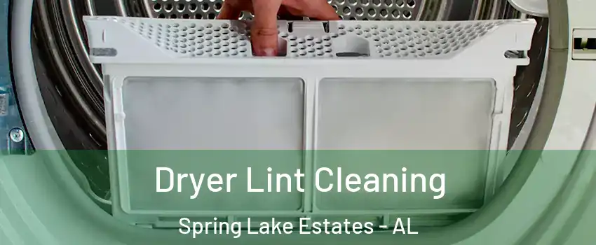Dryer Lint Cleaning Spring Lake Estates - AL