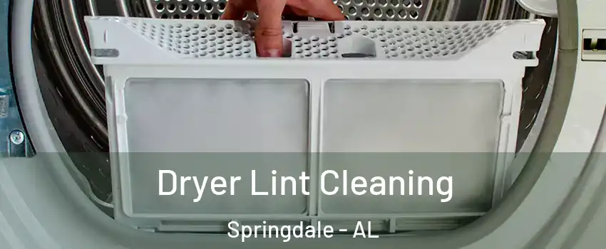 Dryer Lint Cleaning Springdale - AL