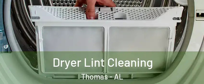 Dryer Lint Cleaning Thomas - AL