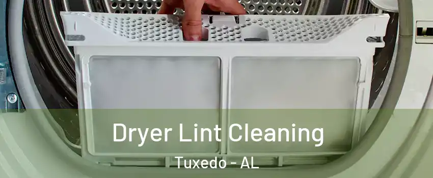 Dryer Lint Cleaning Tuxedo - AL