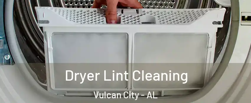 Dryer Lint Cleaning Vulcan City - AL