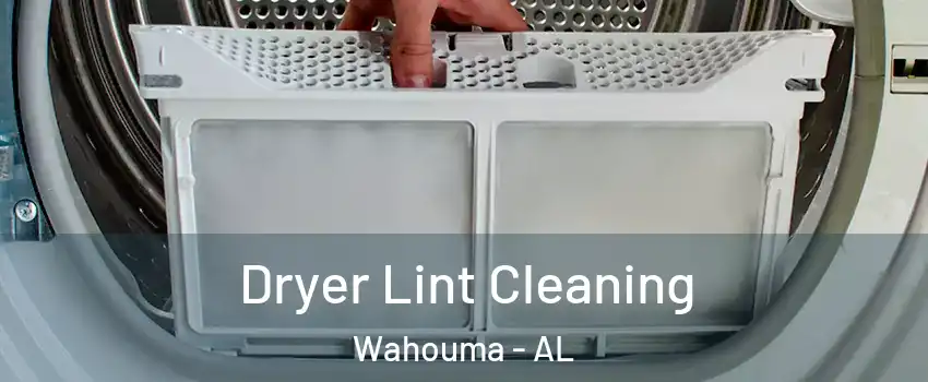 Dryer Lint Cleaning Wahouma - AL